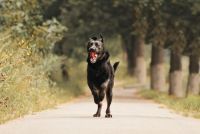 Fotografija: Shutterstock