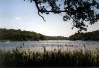 Fotografija: Wikipedija