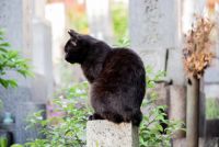 Fotografija: Shutterstock