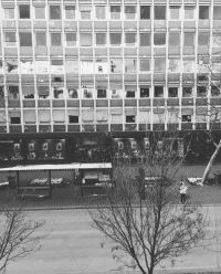 Fotografija: Muanis Sinanović