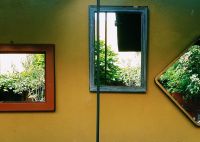 Fotografija: Ana Schnabl